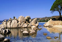 9game app-集结日洛杉矶快船门线救险：NBA季后赛节点到来，赛场秩序良好，赛季目标并未改变的简单介绍-9game app